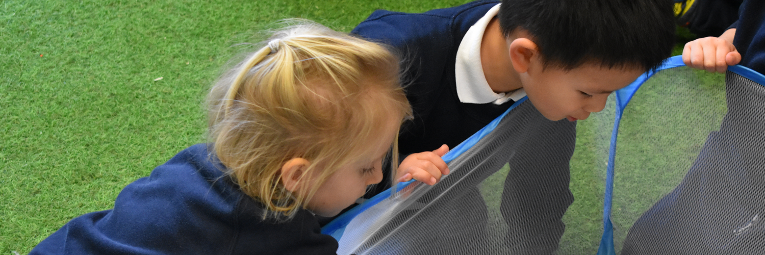 Nursery children and guinea pig