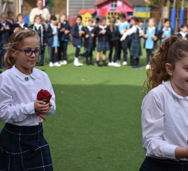 World Book Day Potato Parade