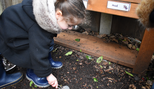 Mud kitchen in Forest School