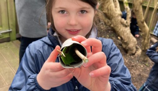 Forest School mini beast hotel