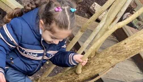 girl holding on to a tree