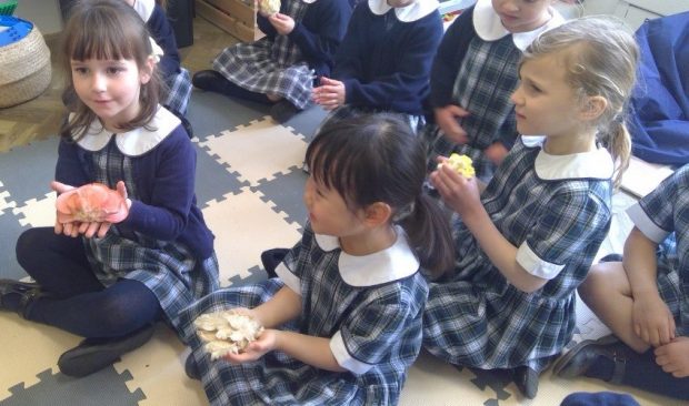 Pupils holding mushrooms