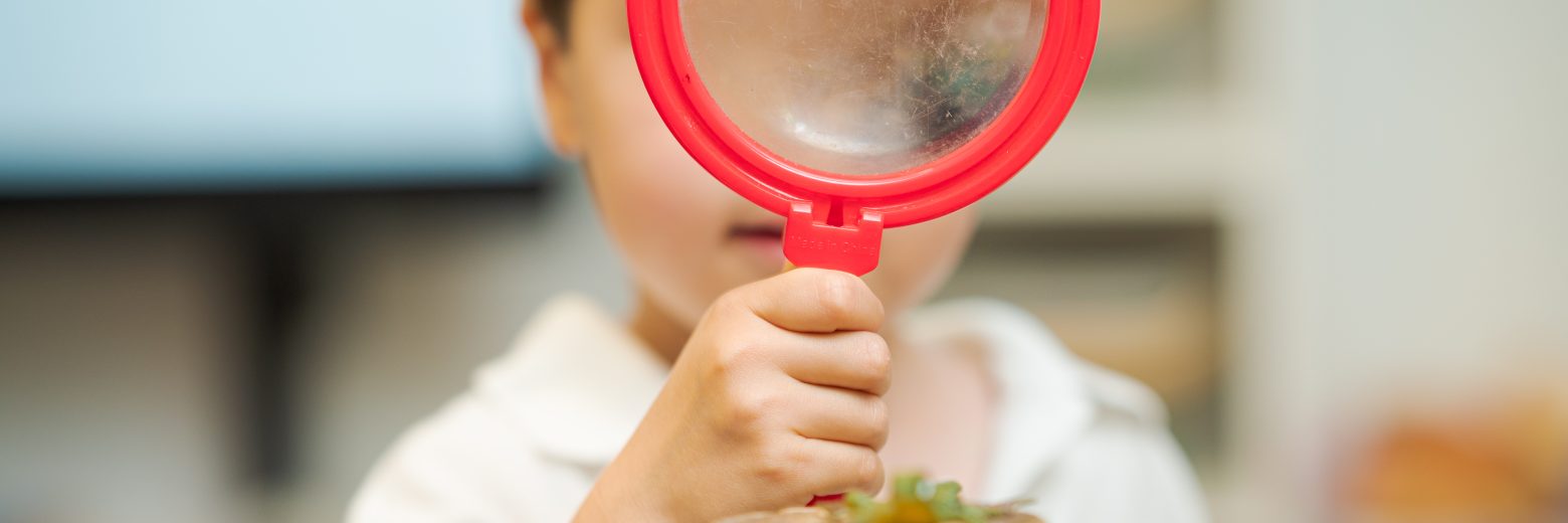 boy holding a magnifying glass